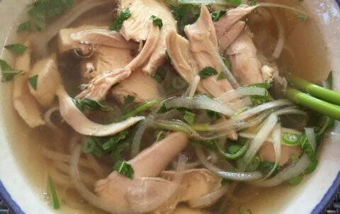 chiken pho or pho ga